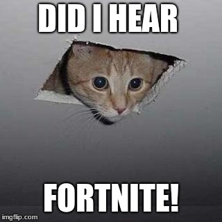 Ceiling Cat | DID I HEAR; FORTNITE! | image tagged in memes,ceiling cat | made w/ Imgflip meme maker
