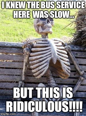 Waiting Skeleton | I KNEW THE BUS SERVICE HERE  WAS SLOW... BUT THIS IS RIDICULOUS!!!! | image tagged in memes,waiting skeleton | made w/ Imgflip meme maker