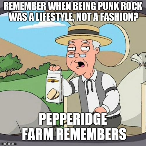 Pepperidge Farm Remembers | REMEMBER WHEN BEING PUNK ROCK WAS A LIFESTYLE, NOT A FASHION? PEPPERIDGE FARM REMEMBERS | image tagged in memes,pepperidge farm remembers | made w/ Imgflip meme maker