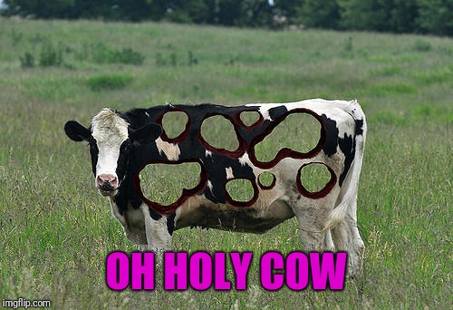 Silly moo | OH HOLY COW | image tagged in moo cow | made w/ Imgflip meme maker