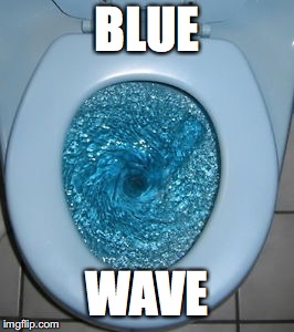 Blue Wave | BLUE; WAVE | image tagged in blue wave | made w/ Imgflip meme maker