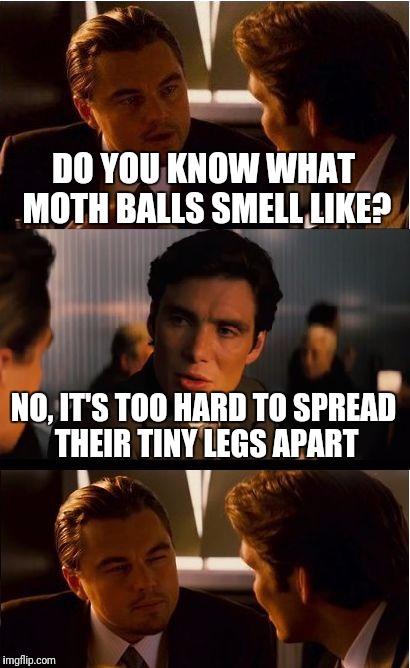 Inception Meme | DO YOU KNOW WHAT MOTH BALLS SMELL LIKE? NO, IT'S TOO HARD TO SPREAD THEIR TINY LEGS APART | image tagged in memes,inception | made w/ Imgflip meme maker