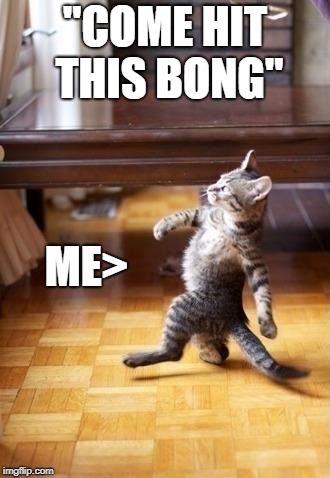 Cool Cat Stroll Meme | "COME HIT THIS BONG"; ME> | image tagged in memes,cool cat stroll | made w/ Imgflip meme maker