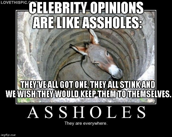 Celebrity Opinions | CELEBRITY OPINIONS ARE LIKE ASSHOLES:; THEY'VE ALL GOT ONE, THEY ALL STINK AND WE WISH THEY WOULD KEEP THEM TO THEMSELVES. | image tagged in celebrity,assholes | made w/ Imgflip meme maker