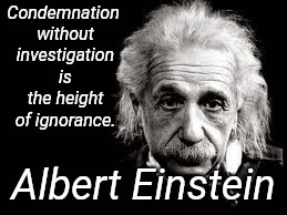 To all of you that pick on flat earthers. You are easily led astray. | Condemnation without investigation is the height of ignorance. Albert Einstein | image tagged in flat earth,albert einstein | made w/ Imgflip meme maker