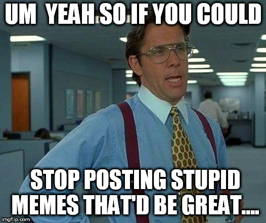 stupid  memes  | UM  YEAH SO IF YOU COULD STOP POSTING STUPID MEMES THAT'D BE GREAT.... | image tagged in memes,that would be great,stop | made w/ Imgflip meme maker