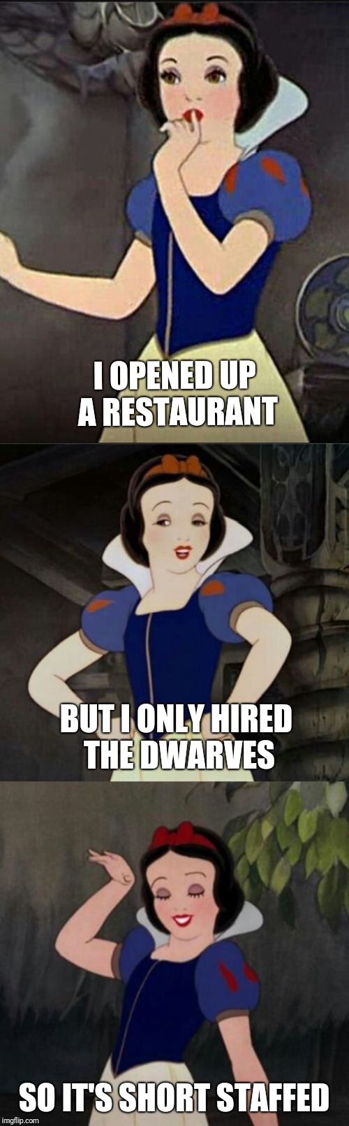 Snow White joke template | I OPENED UP A RESTAURANT; BUT I ONLY HIRED THE DWARVES; SO IT'S SHORT STAFFED | image tagged in snow white joke template,memes | made w/ Imgflip meme maker