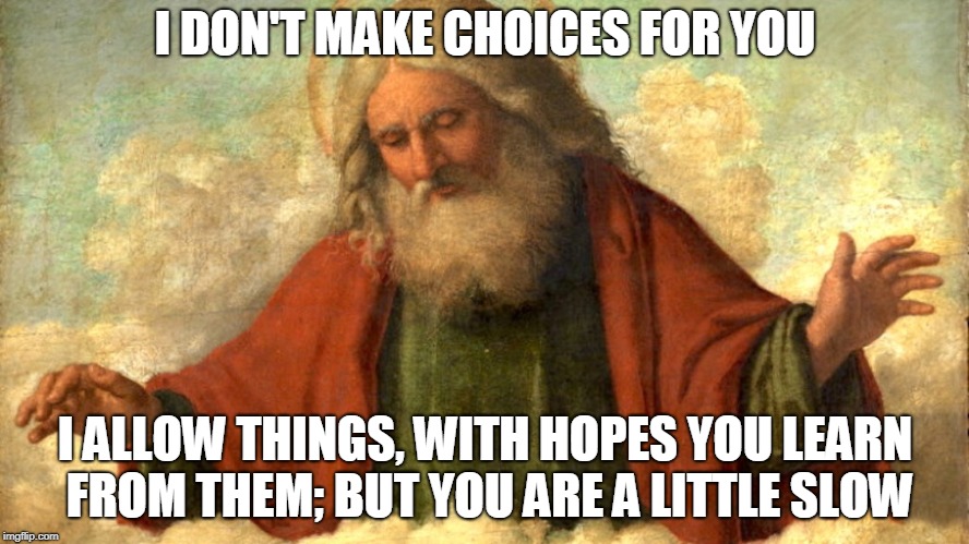 I don't make your choices | I DON'T MAKE CHOICES FOR YOU; I ALLOW THINGS, WITH HOPES YOU LEARN FROM THEM; BUT YOU ARE A LITTLE SLOW | image tagged in learn,choices,allow,god | made w/ Imgflip meme maker