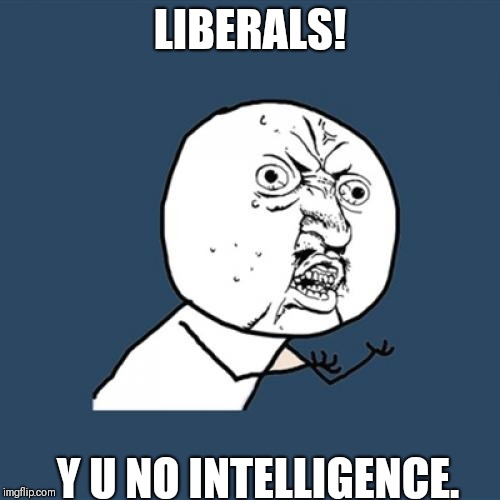 Y U No | LIBERALS! Y U NO INTELLIGENCE. | image tagged in memes,y u no | made w/ Imgflip meme maker
