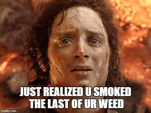 It's Finally Over | JUST REALIZED U SMOKED THE LAST OF UR WEED | image tagged in memes,its finally over | made w/ Imgflip meme maker