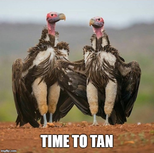 TIME TO TAN | made w/ Imgflip meme maker