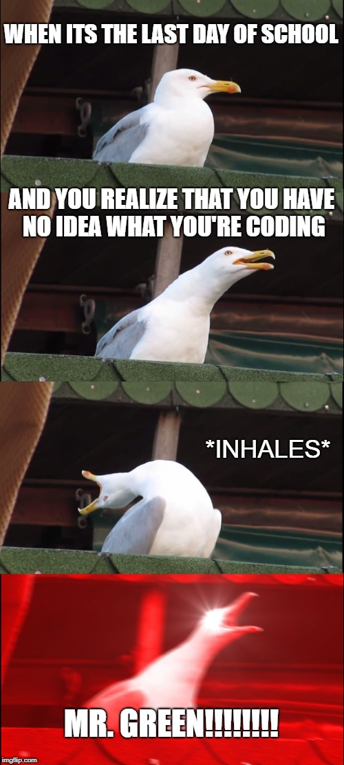 Inhaling Seagull Meme | WHEN ITS THE LAST DAY OF SCHOOL; AND YOU REALIZE THAT YOU HAVE NO IDEA WHAT YOU'RE CODING; *INHALES*; MR. GREEN!!!!!!!! | image tagged in memes,inhaling seagull | made w/ Imgflip meme maker
