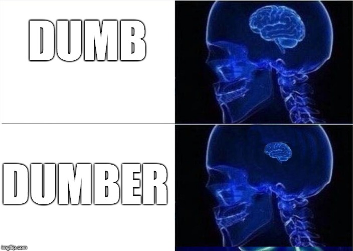 DUMB DUMBER | made w/ Imgflip meme maker