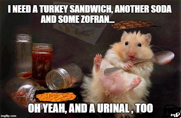 I NEED A TURKEY SANDWICH, ANOTHER SODA

        AND SOME ZOFRAN... OH YEAH, AND A URINAL , TOO | made w/ Imgflip meme maker