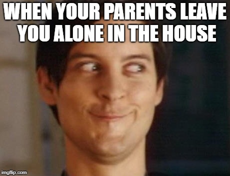 Spiderman Peter Parker Meme | WHEN YOUR PARENTS LEAVE YOU ALONE IN THE HOUSE | image tagged in memes,spiderman peter parker | made w/ Imgflip meme maker