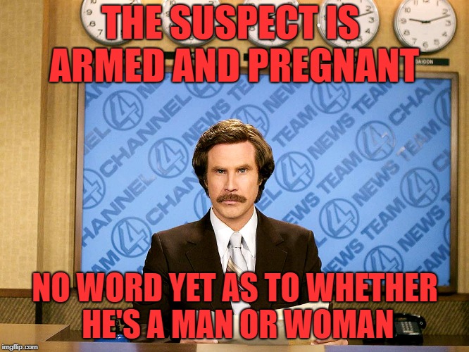 Ron Burgandy |  THE SUSPECT IS ARMED AND PREGNANT; NO WORD YET AS TO WHETHER HE'S A MAN OR WOMAN | image tagged in ron burgandy,funny memes,bank robber | made w/ Imgflip meme maker