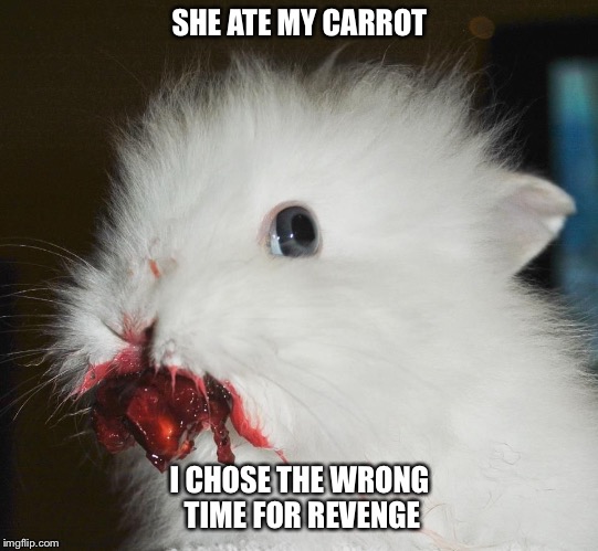 Vegans | SHE ATE MY CARROT; I CHOSE THE WRONG TIME FOR REVENGE | image tagged in carrot,peach,rabbit,bloody,bunny,red | made w/ Imgflip meme maker