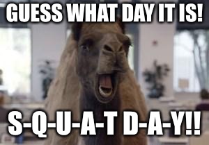 Hump Day Camel | GUESS WHAT DAY IT IS! S-Q-U-A-T D-A-Y!! | image tagged in hump day camel | made w/ Imgflip meme maker