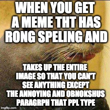 Disgusted Otter | WHEN YOU GET A MEME THT HAS RONG SPELING AND; TAKES UP THE ENTIRE IMAGE SO THAT YOU CAN'T SEE ANYTHING EXCEPT THE ANNOYING AND OBNOKSHUS PARAGRPH THAT PPL TYPE | image tagged in disgusted otter,hehe | made w/ Imgflip meme maker