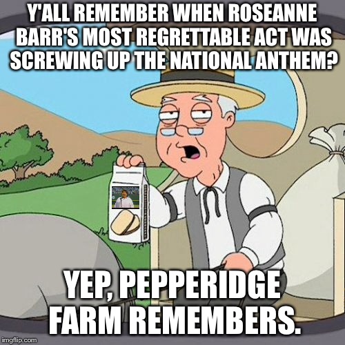I remember Roseanne Barr sucking at singing | Y'ALL REMEMBER WHEN ROSEANNE BARR'S MOST REGRETTABLE ACT WAS SCREWING UP THE NATIONAL ANTHEM? YEP, PEPPERIDGE FARM REMEMBERS. | image tagged in memes,pepperidge farm remembers,roseanne barr,national anthem,music,racist | made w/ Imgflip meme maker