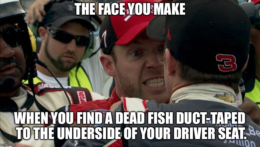 NASCAR Grumpy Old Men | THE FACE YOU MAKE; WHEN YOU FIND A DEAD FISH DUCT-TAPED TO THE UNDERSIDE OF YOUR DRIVER SEAT. | image tagged in the face you make regan smith,nascar,grumpy,fish,prank,car | made w/ Imgflip meme maker