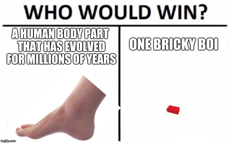 Who Would Win? Meme | A HUMAN BODY PART THAT HAS EVOLVED FOR MILLIONS OF YEARS; ONE BRICKY BOI | image tagged in memes,who would win | made w/ Imgflip meme maker