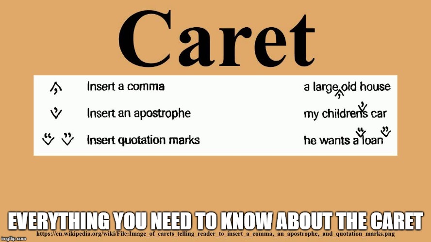 EVERYTHING YOU NEED TO KNOW ABOUT THE CARET | made w/ Imgflip meme maker