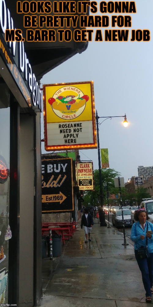 The Wieners Circle has suddenly raised its standards. | LOOKS LIKE IT'S GONNA BE PRETTY HARD FOR MS. BARR TO GET A NEW JOB | image tagged in roseanne barr,roseanne,memes,funny,chicago | made w/ Imgflip meme maker