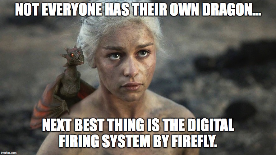 GOT Fireworks | NOT EVERYONE HAS THEIR OWN DRAGON... NEXT BEST THING IS THE DIGITAL FIRING SYSTEM BY FIREFLY. | image tagged in dragon | made w/ Imgflip meme maker