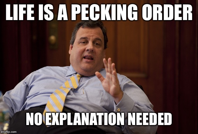 NJ Earthquake Explanation | LIFE IS A PECKING ORDER; NO EXPLANATION NEEDED | image tagged in nj earthquake explanation | made w/ Imgflip meme maker