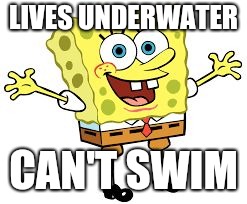 LIVES UNDERWATER; CAN'T SWIM | image tagged in spongebob | made w/ Imgflip meme maker