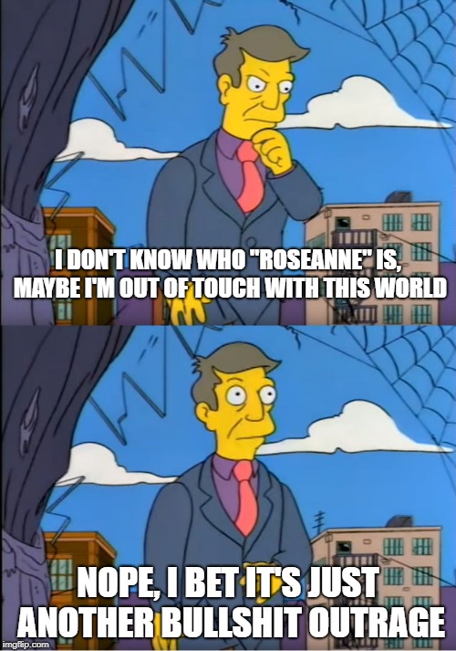 Must be something political. Whatever it is, I don't wanna know. | I DON'T KNOW WHO "ROSEANNE" IS, MAYBE I'M OUT OF TOUCH WITH THIS WORLD; NOPE, I BET IT'S JUST ANOTHER BULLSHIT OUTRAGE | image tagged in memes,skinner out of touch,dank memes,roseanne,political memes,funny | made w/ Imgflip meme maker