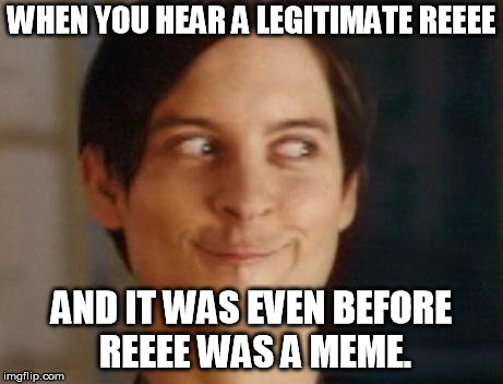 Spiderman Peter Parker Meme | WHEN YOU HEAR A LEGITIMATE REEEE; AND IT WAS EVEN BEFORE REEEE WAS A MEME. | image tagged in memes,spiderman peter parker | made w/ Imgflip meme maker