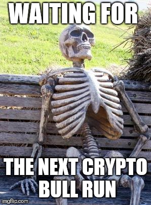 Waiting Skeleton Meme | WAITING FOR; THE NEXT CRYPTO BULL RUN | image tagged in memes,waiting skeleton | made w/ Imgflip meme maker