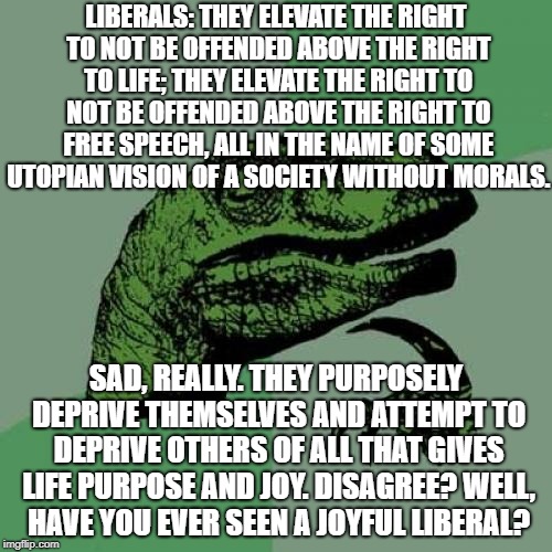 Happiness-Starved Liberals Look For Meaning And Never Find It Because They're Unwilling To Change | LIBERALS: THEY ELEVATE THE RIGHT TO NOT BE OFFENDED ABOVE THE RIGHT TO LIFE; THEY ELEVATE THE RIGHT TO NOT BE OFFENDED ABOVE THE RIGHT TO FREE SPEECH, ALL IN THE NAME OF SOME UTOPIAN VISION OF A SOCIETY WITHOUT MORALS. SAD, REALLY. THEY PURPOSELY DEPRIVE THEMSELVES AND ATTEMPT TO DEPRIVE OTHERS OF ALL THAT GIVES LIFE PURPOSE AND JOY. DISAGREE? WELL, HAVE YOU EVER SEEN A JOYFUL LIBERAL? | image tagged in memes,philosoraptor | made w/ Imgflip meme maker