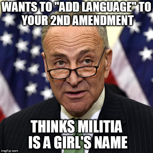 Schumer Doomer | WANTS TO "ADD LANGUAGE"
TO YOUR 2ND AMENDMENT; THINKS MILITIA IS A GIRL'S NAME | image tagged in gun control | made w/ Imgflip meme maker