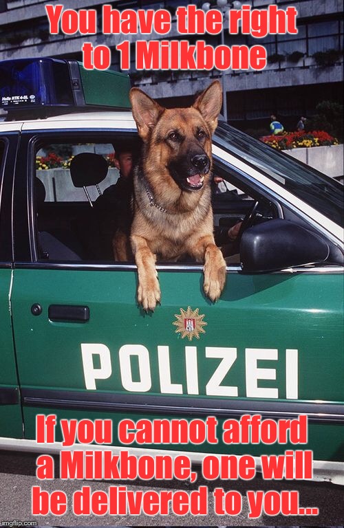 Canine Rights matter! | You have the right to 1 Milkbone; If you cannot afford a Milkbone, one will be delivered to you... | image tagged in memes,canine rights,milkbone rights,funny memes,dog in police car | made w/ Imgflip meme maker