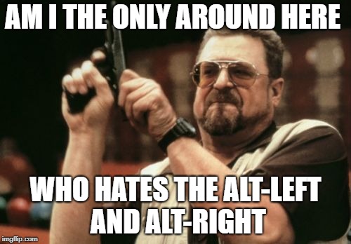 Am I The Only One Around Here Meme | AM I THE ONLY AROUND HERE; WHO HATES THE ALT-LEFT AND ALT-RIGHT | image tagged in memes,am i the only one around here | made w/ Imgflip meme maker