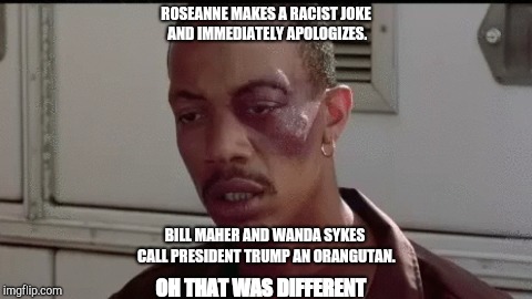 ROSEANNE MAKES A RACIST JOKE AND IMMEDIATELY APOLOGIZES. BILL MAHER AND WANDA SYKES CALL PRESIDENT TRUMP AN ORANGUTAN. OH THAT WAS DIFFERENT | image tagged in double standards | made w/ Imgflip meme maker