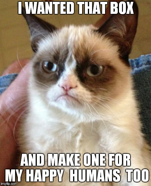 Grumpy Cat Meme | I WANTED THAT BOX AND MAKE ONE FOR MY HAPPY  HUMANS  TOO | image tagged in memes,grumpy cat | made w/ Imgflip meme maker