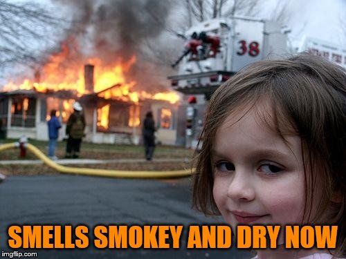 Disaster Girl Meme | SMELLS SMOKEY AND DRY NOW | image tagged in memes,disaster girl | made w/ Imgflip meme maker