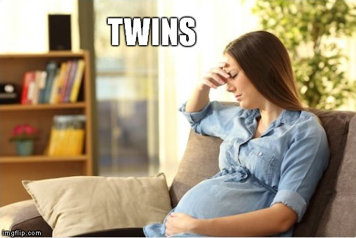 TWINS | made w/ Imgflip meme maker