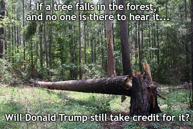 If a tree falls in the forest, and no one is there to hear it... Will Donald Trump still take credit for it? | image tagged in fallen tree in forest | made w/ Imgflip meme maker