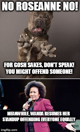 PC police - enough already | NO ROSEANNE NO! FOR GOSH SAKES, DON'T SPEAK!  YOU MIGHT OFFEND SOMEONE! MEANWHILE, WANDA RESUMES HER STANDUP OFFENDING EVERYONE EQUALLY | image tagged in roseanne barr,wanda sykes,fired | made w/ Imgflip meme maker