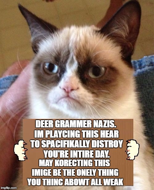 Grumpy Cat Cardboard Sign | DEER GRAMMER NAZIS. IM PLAYCING THIS HEAR TO SPACIFIKALLY DISTROY YOU'RE INTIRE DAY. MAY KORECTING THIS IMIGE BE THE ONELY THING YOU THINC ABOWT ALL WEAK | image tagged in grumpy cat cardboard sign,random | made w/ Imgflip meme maker
