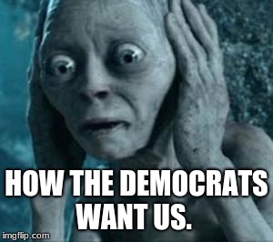 Scared Gollum | HOW THE DEMOCRATS WANT US. | image tagged in scared gollum | made w/ Imgflip meme maker