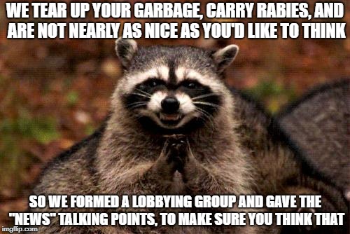 The "news" follows the money | WE TEAR UP YOUR GARBAGE, CARRY RABIES, AND ARE NOT NEARLY AS NICE AS YOU'D LIKE TO THINK; SO WE FORMED A LOBBYING GROUP AND GAVE THE "NEWS" TALKING POINTS, TO MAKE SURE YOU THINK THAT | image tagged in memes,evil plotting raccoon,fake news | made w/ Imgflip meme maker