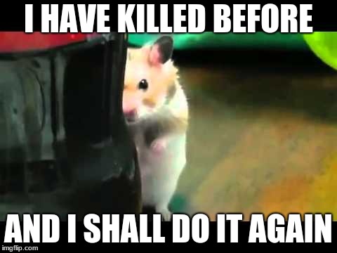 I have a eerie feeling I'm being watched | I HAVE KILLED BEFORE; AND I SHALL DO IT AGAIN | image tagged in memes,funny,funny memes,new memes,hamster | made w/ Imgflip meme maker