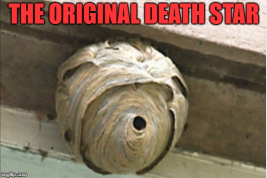 Bee Fighters or B-Wings? | THE ORIGINAL DEATH STAR | image tagged in star wars,death star,bee's | made w/ Imgflip meme maker