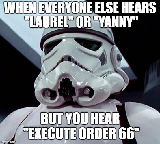 Execute order 66 | WHEN EVERYONE ELSE HEARS "LAUREL" OR "YANNY"; BUT YOU HEAR "EXECUTE ORDER 66" | image tagged in stormtrooper | made w/ Imgflip meme maker